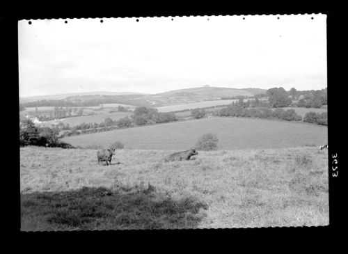 View from Oakley to Hemerdon Ball