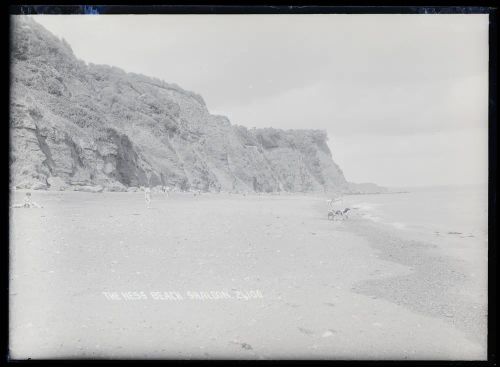 Shaldon: The Ness beach, St Nicholas