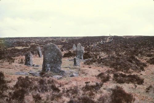 An image from the Dartmoor Trust Archive