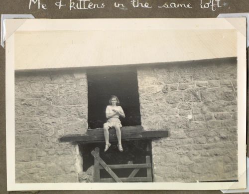 Barn and kittens at Yellam Farm