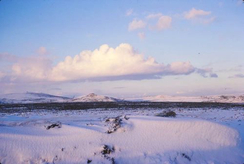 An image from the Dartmoor Trust Archive