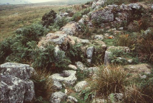 An image from the Dartmoor Trust Archive