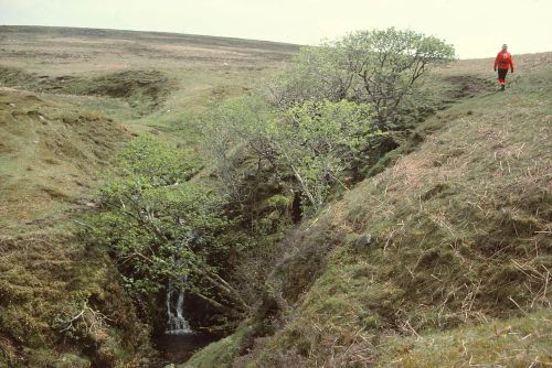 An image from the Dartmoor Trust Archive