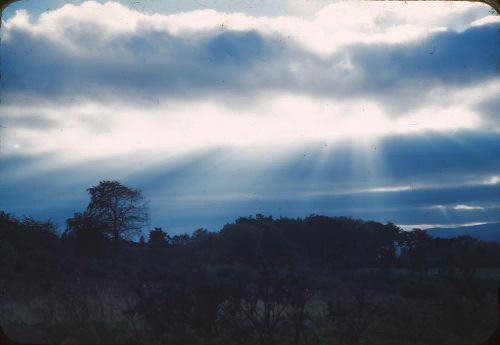 Sunset on Haldon