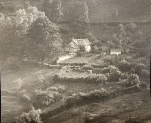 Thatched cottage