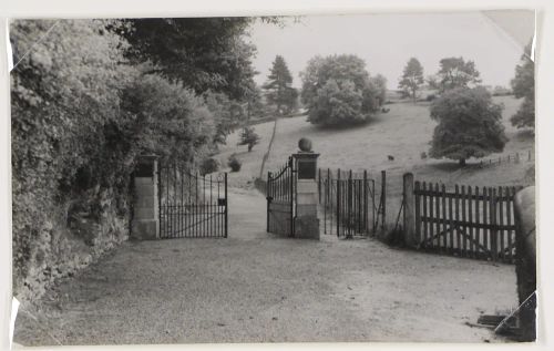 Gate near Honiton