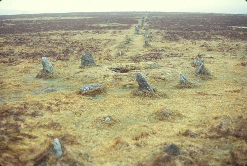 An image from the Dartmoor Trust Archive