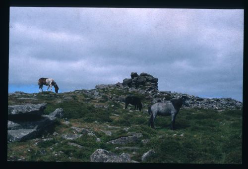 An image from the Dartmoor Trust Archive