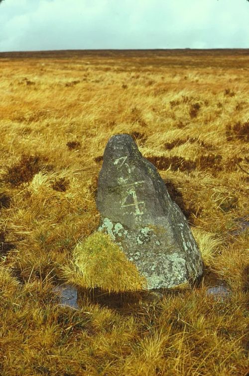 An image from the Dartmoor Trust Archive