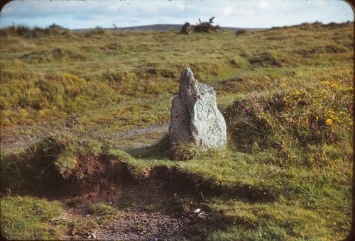 Wigford Down