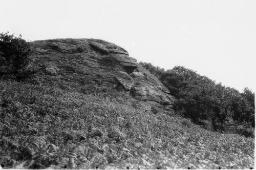 An image from the Dartmoor Trust Archive