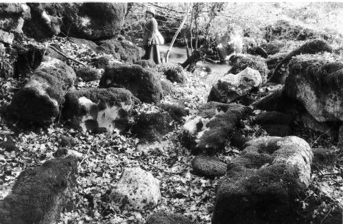 An image from the Dartmoor Trust Archive