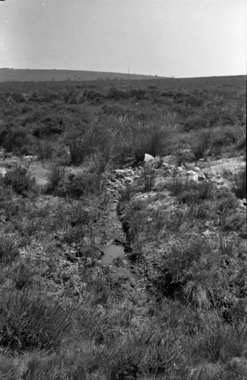 An image from the Dartmoor Trust Archive