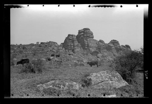 Vixen Tor