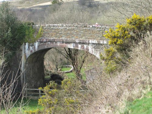 Bridge over disused Tavistock South to Launceston Line