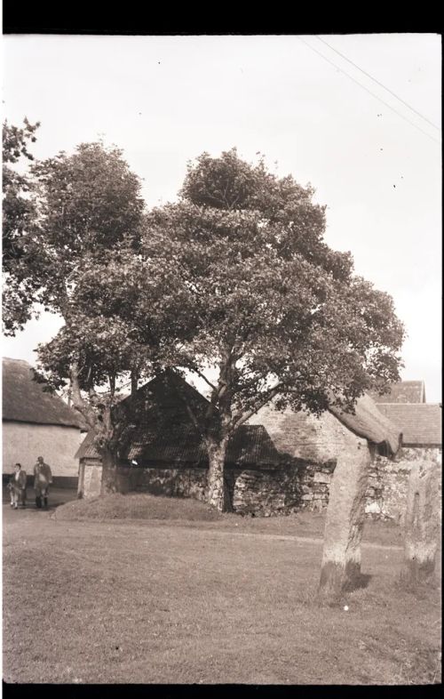 Belstone Stocks