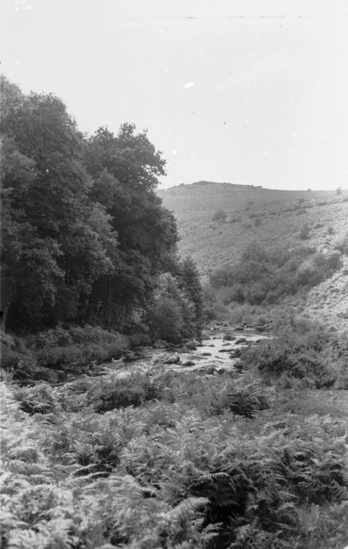 An image from the Dartmoor Trust Archive