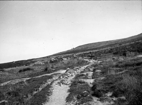 An image from the Dartmoor Trust Archive