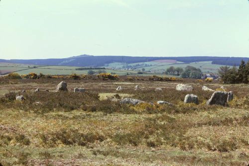 An image from the Dartmoor Trust Archive