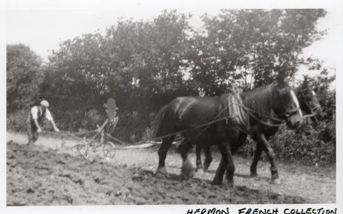 An image from the Dartmoor Trust Archive