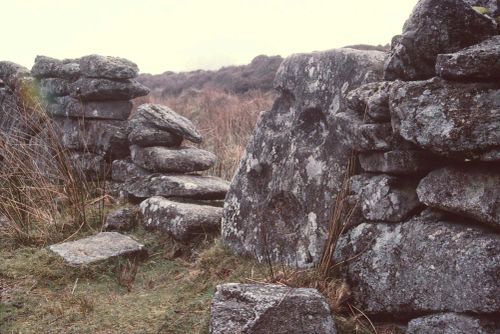 An image from the Dartmoor Trust Archive