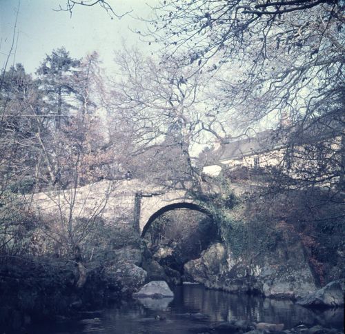 An image from the Dartmoor Trust Archive