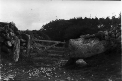 An image from the Dartmoor Trust Archive