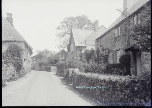 Ashprington village street