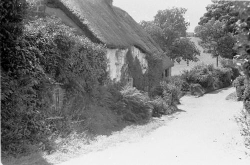 An image from the Dartmoor Trust Archive