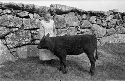 An image from the Dartmoor Trust Archive