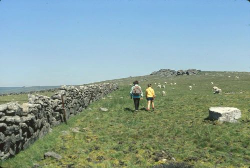 An image from the Dartmoor Trust Archive