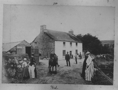 Greyhound Cottage at Postbridge