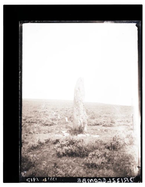 Drizzlecombe menhir and stone row