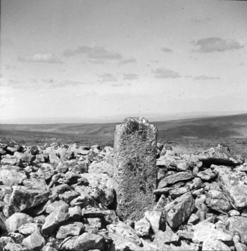 An image from the Dartmoor Trust Archive