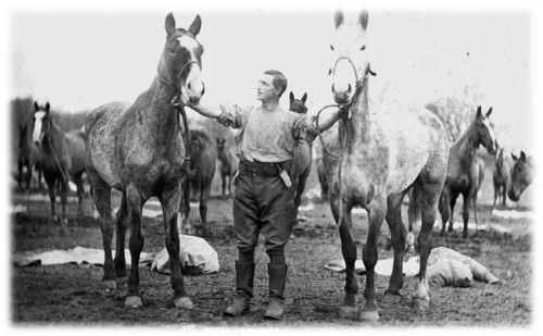 1WW  TROOOPER TOMMY MILLS OF THE DEVON YEOMANRY WITH HIS CHARGES C1917