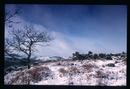 An image from the Dartmoor Trust Archive