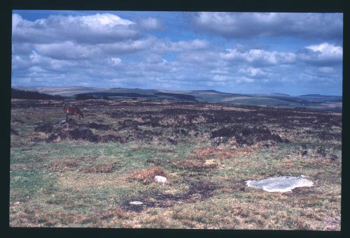 An image from the Dartmoor Trust Archive