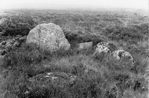 An image from the Dartmoor Trust Archive