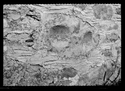 Mortar Stones Found in the Wall of a Pigsty at Little Horrabridge