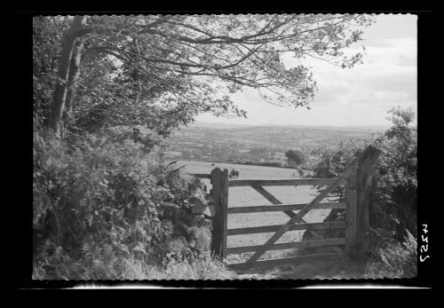 A view of South Brent from Aish Ridge