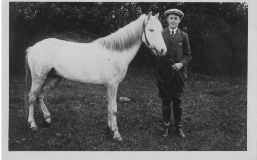 An image from the Dartmoor Trust Archive