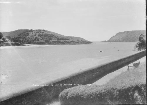 Salcombe Estuary