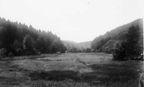 An image from the Dartmoor Trust Archive