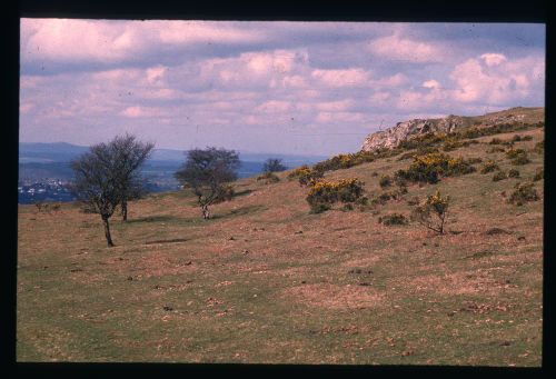 An image from the Dartmoor Trust Archive