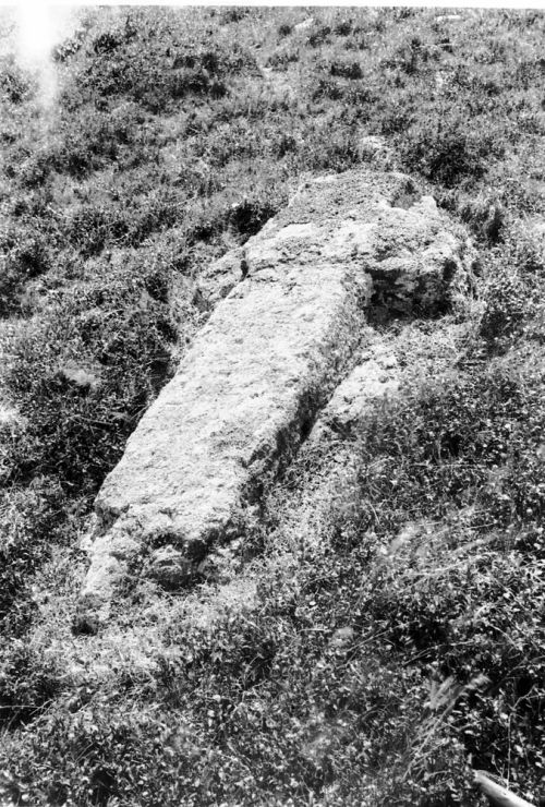 An image from the Dartmoor Trust Archive