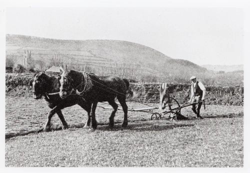 An image from the Dartmoor Trust Archive