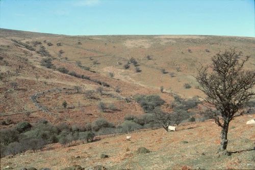 An image from the Dartmoor Trust Archive