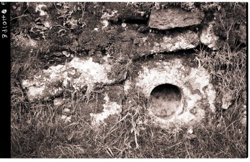 Holed stone in hedge, Moortown