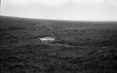 NEGATIVE OF FORD NEAR INTAKE OF PRISON LEAT by R. HANSFORD WORTH,