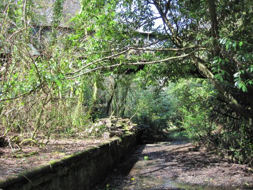 Yelverton Station Platform